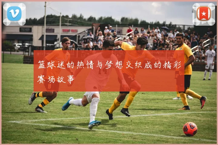 篮球迷的热情与梦想交织成的精彩赛场故事