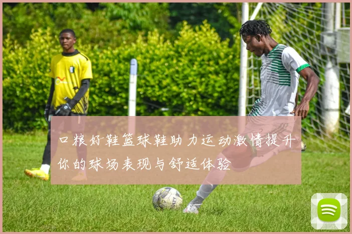 口粮好鞋篮球鞋助力运动激情提升你的球场表现与舒适体验