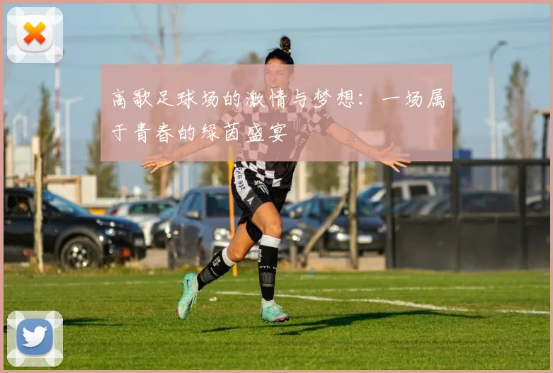 高歌足球场的激情与梦想：一场属于青春的绿茵盛宴