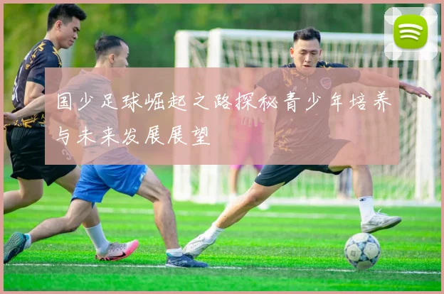 国少足球崛起之路探秘青少年培养与未来发展展望